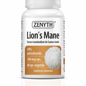 Lion’s Mane 500 mg